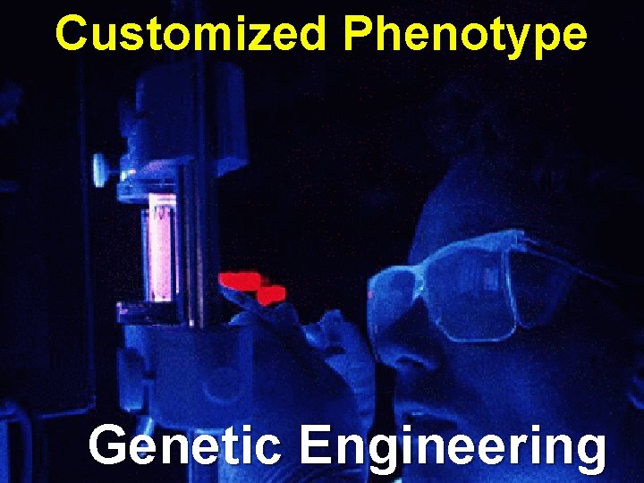 Customized Phenotype Genetic Engineering 
