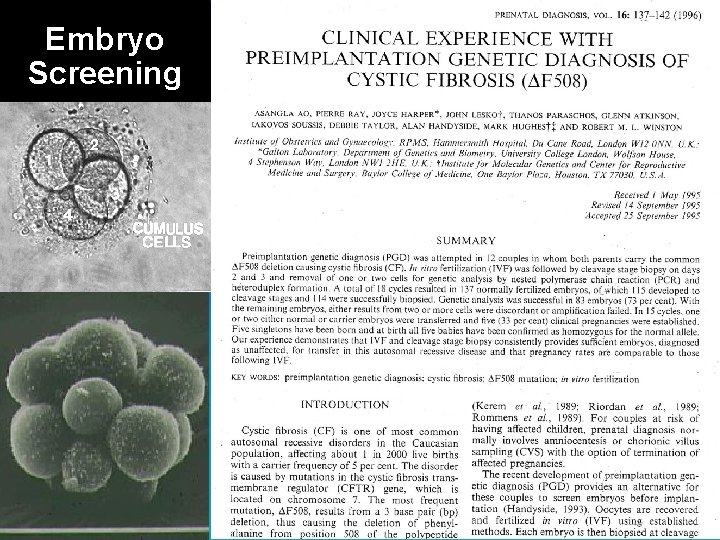 Embryo Screening 