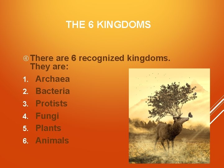 THE 6 KINGDOMS There are 6 recognized kingdoms. They are: 1. Archaea 2. Bacteria