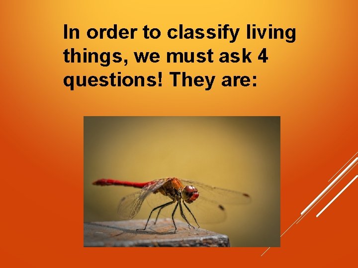 In order to classify living things, we must ask 4 questions! They are: 