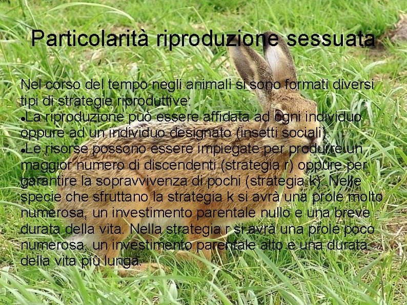 Particolarità riproduzione sessuata Nel corso del tempo negli animali si sono formati diversi tipi