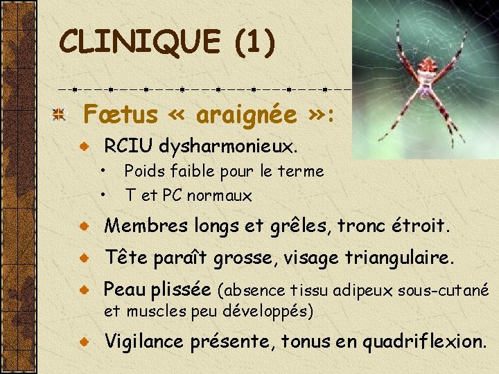 CLINIQUE (1) Fœtus « araignée » : RCIU dysharmonieux. • • Poids faible pour