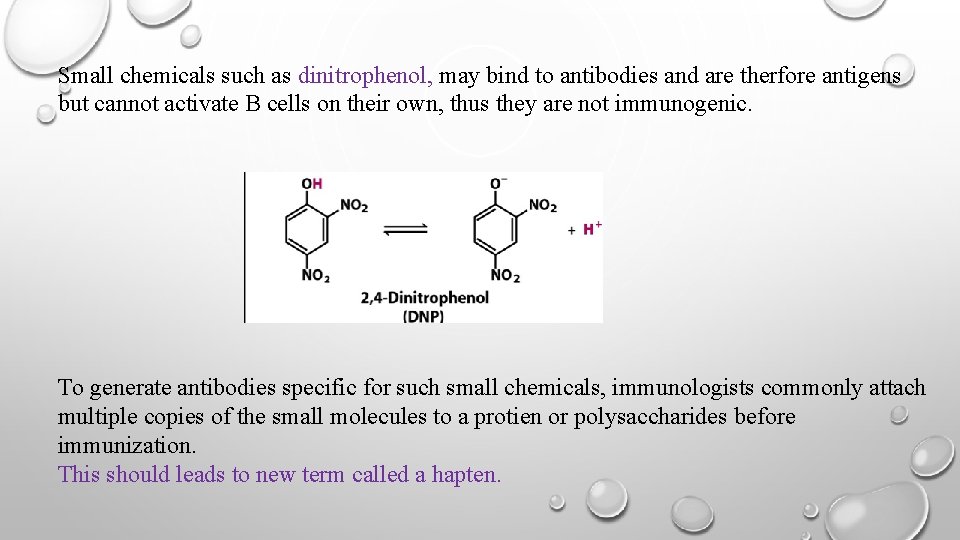 Small chemicals such as dinitrophenol, may bind to antibodies and are therfore antigens but