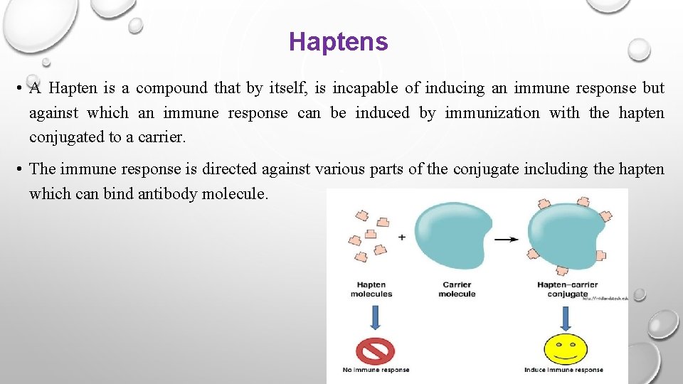 Haptens • A Hapten is a compound that by itself, is incapable of inducing