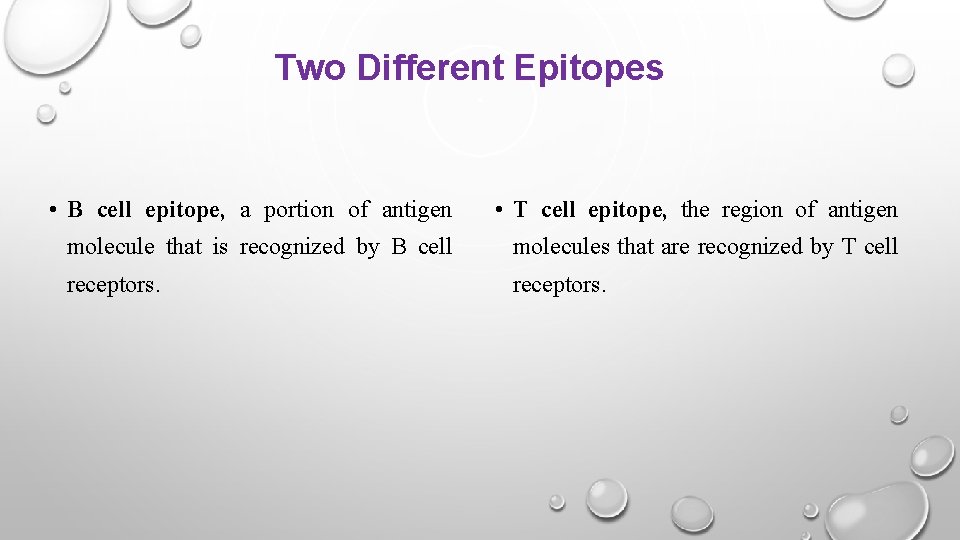 Two Different Epitopes • B cell epitope, a portion of antigen • T cell