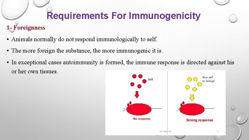 Requirements For Immunogenicity 1 - Foreignness • Animals normally do not respond immunologically to