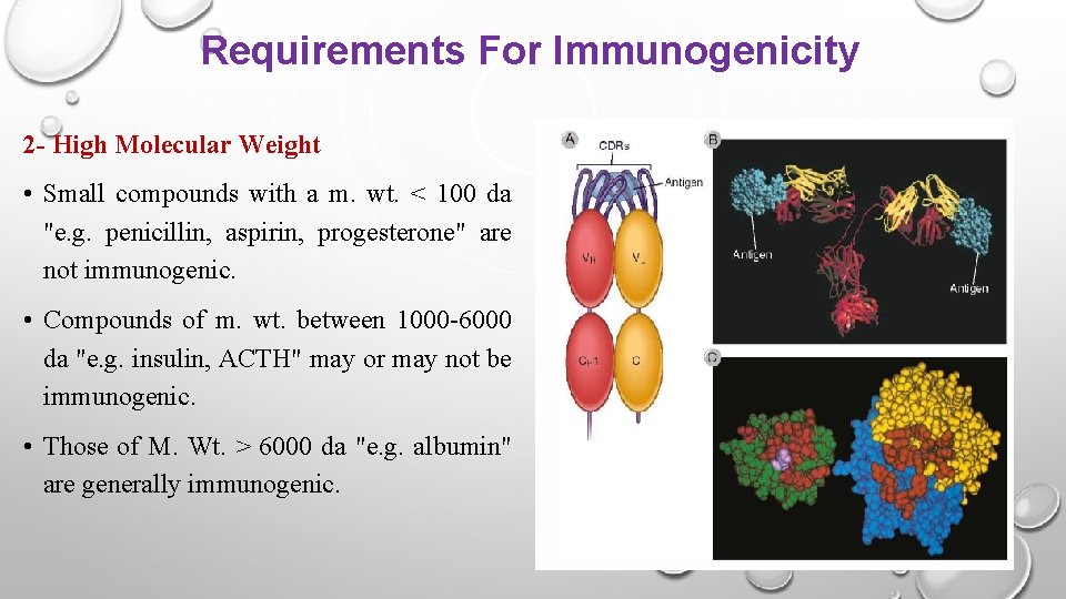 Requirements For Immunogenicity 2 - High Molecular Weight • Small compounds with a m.