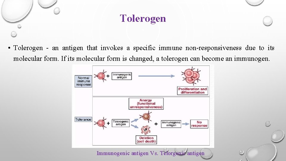 Tolerogen • Tolerogen - an antigen that invokes a specific immune non-responsiveness due to