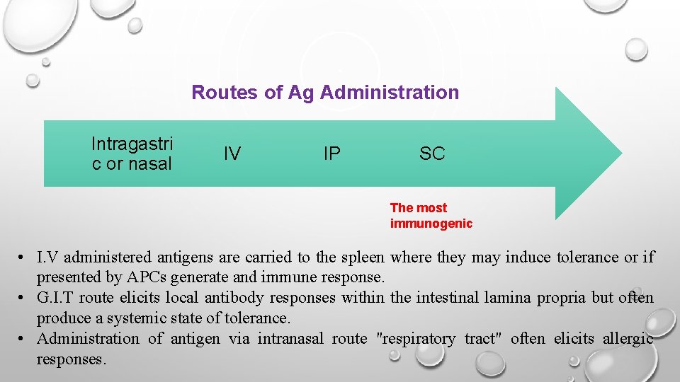 Routes of Ag Administration Intragastri c or nasal IV IP SC The most immunogenic