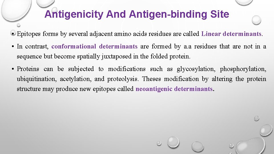 Antigenicity And Antigen-binding Site • Epitopes forms by several adjacent amino acids residues are