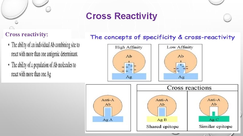 Cross Reactivity Cross reactivity: 