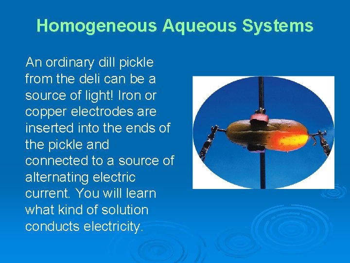Homogeneous Aqueous Systems An ordinary dill pickle from the deli can be a source