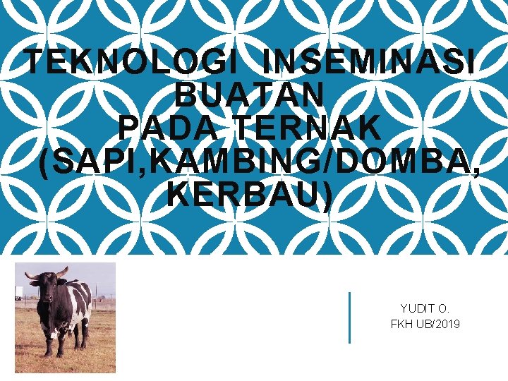 TEKNOLOGI INSEMINASI BUATAN PADA TERNAK (SAPI, KAMBING/DOMBA, KERBAU) YUDIT O. FKH UB/2019 