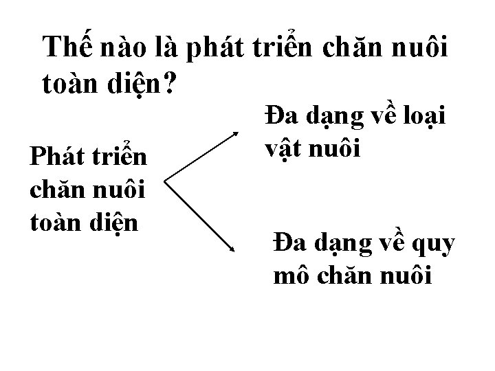 Thế nào là phát triển chăn nuôi toàn diện? Phát triển chăn nuôi toàn