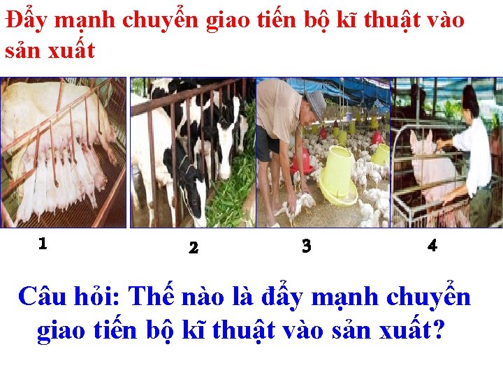 Đẩy mạnh chuyển giao tiến bộ kĩ thuật vào sản xuất 1 2 3