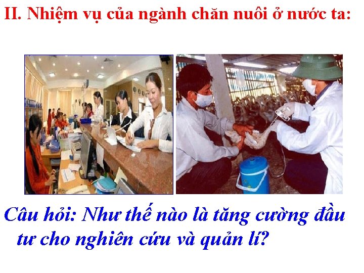 II. Nhiệm vụ của ngành chăn nuôi ở nước ta: Câu hỏi: Như thế