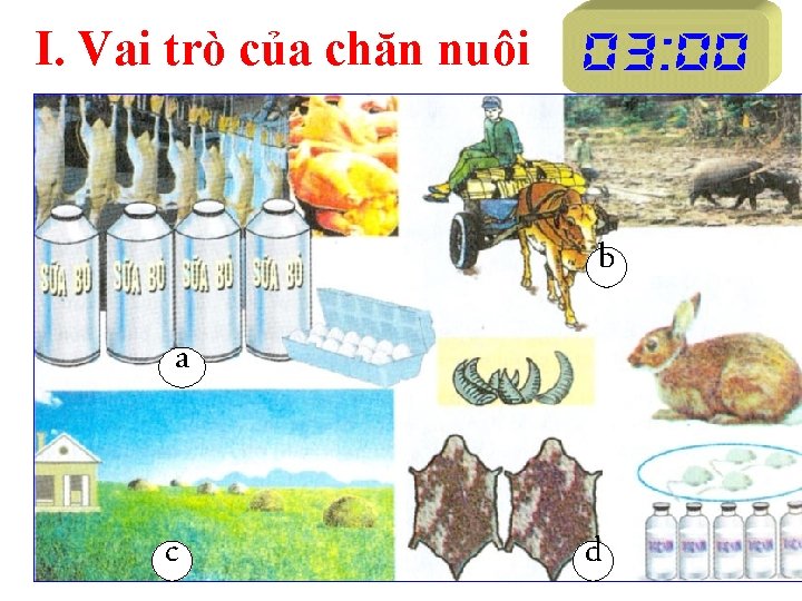 I. Vai trò của chăn nuôi b a c d 