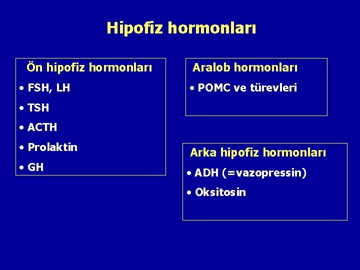 Hipofiz hormonları Ön hipofiz hormonları • FSH, LH Aralob hormonları • POMC ve türevleri