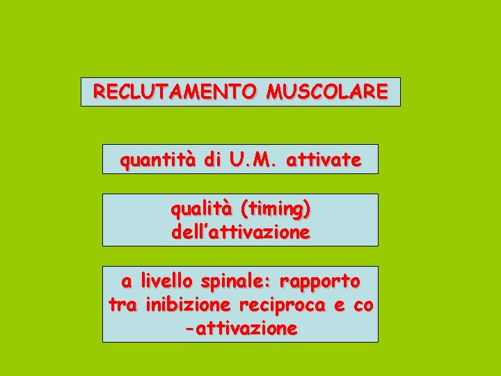 RECLUTAMENTO MUSCOLARE quantità di U. M. attivate qualità (timing) dell’attivazione a livello spinale: rapporto