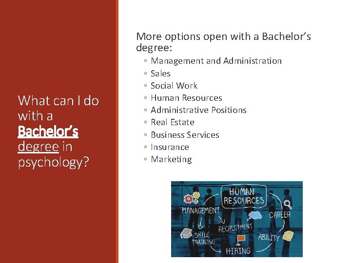 More options open with a Bachelor’s degree: What can I do with a Bachelor’s