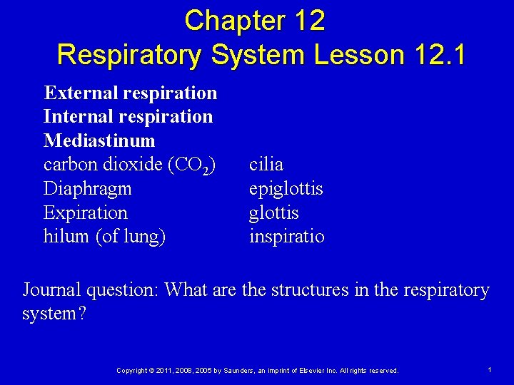 Chapter 12 Respiratory System Lesson 12. 1 External respiration Internal respiration Mediastinum carbon dioxide