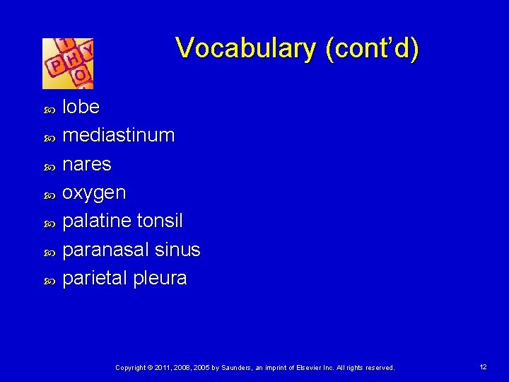 Vocabulary (cont’d) lobe mediastinum nares oxygen palatine tonsil paranasal sinus parietal pleura Copyright ©