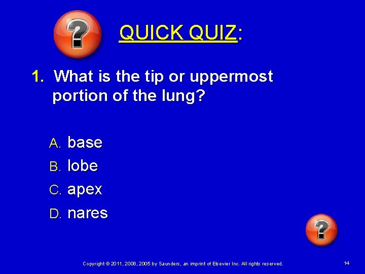 QUICK QUIZ: 1. What is the tip or uppermost portion of the lung? base