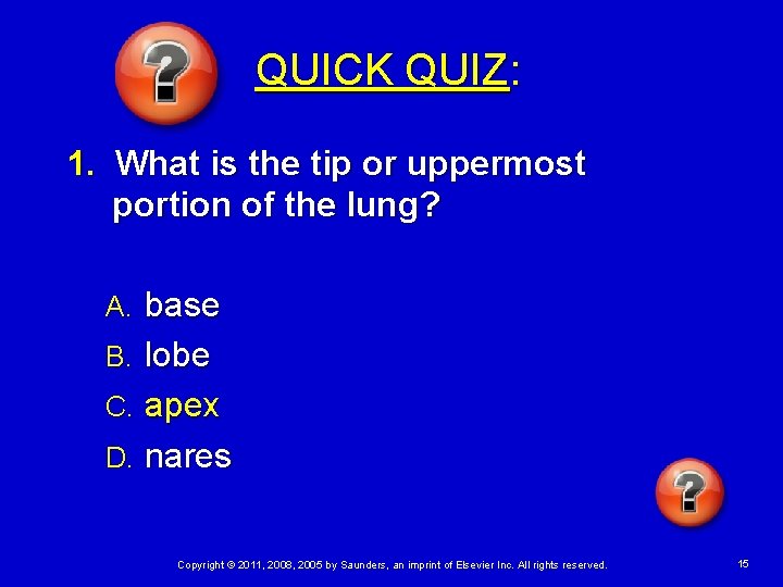 QUICK QUIZ: 1. What is the tip or uppermost portion of the lung? base
