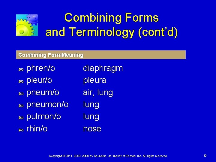 Combining Forms and Terminology (cont’d) Combining Form. Meaning phren/o pleur/o pneumon/o pulmon/o rhin/o diaphragm
