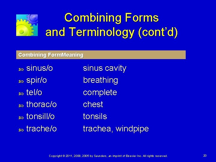 Combining Forms and Terminology (cont’d) Combining Form. Meaning sinus/o spir/o tel/o thorac/o tonsill/o trache/o