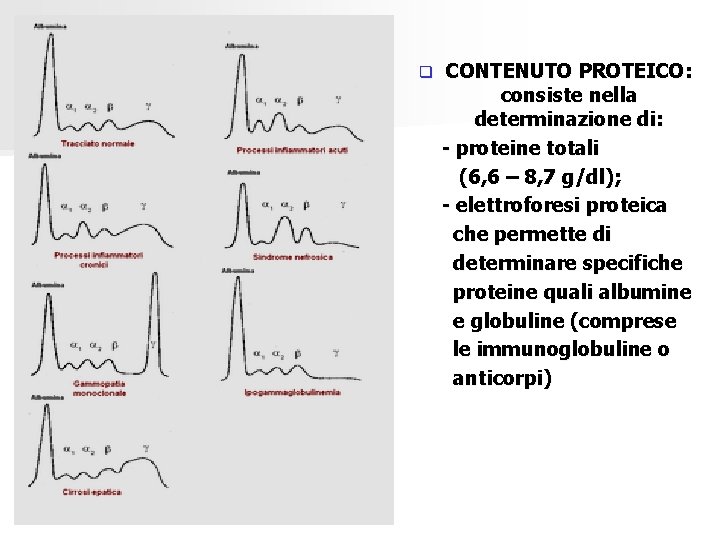 q CONTENUTO PROTEICO: consiste nella determinazione di: - proteine totali (6, 6 – 8,