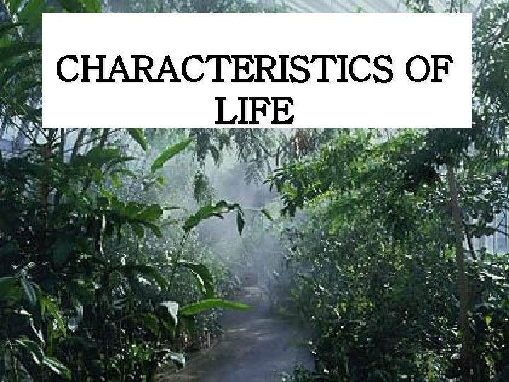 CHARACTERISTICS OF LIFE 