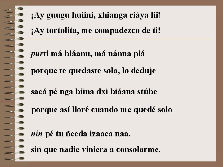 ¡Ay guugu huiini, xhianga riáya lii! ¡Ay tortolita, me compadezco de ti! purti má