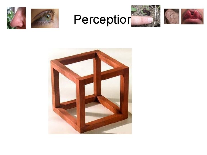 Perception 