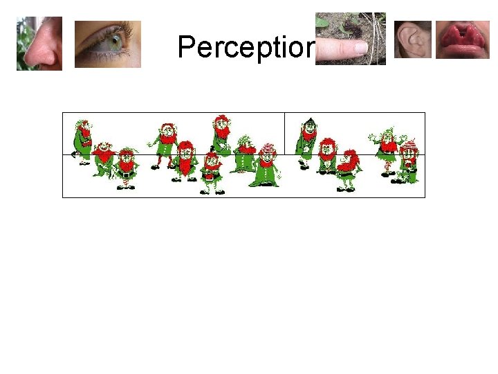 Perception 