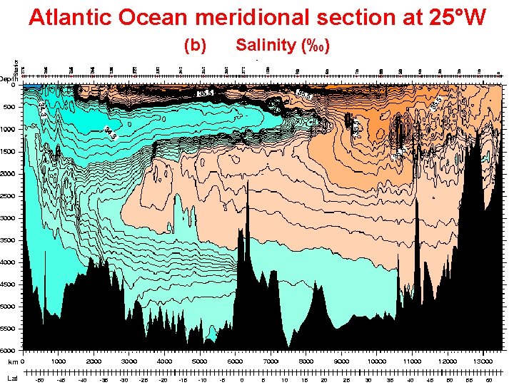 Atlantic Ocean meridional section at 25°W (b) Salinity (‰) 