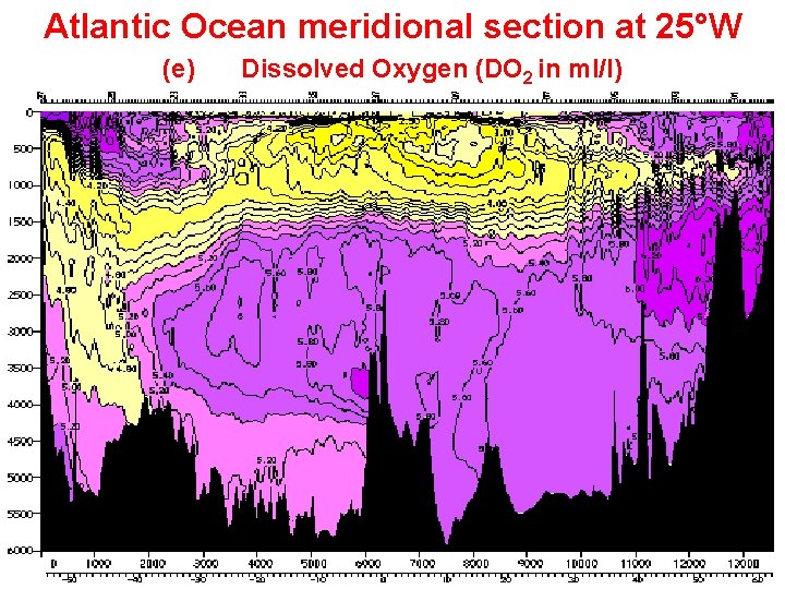 Atlantic Ocean meridional section at 25°W (e) Dissolved Oxygen (DO 2 in ml/l) 