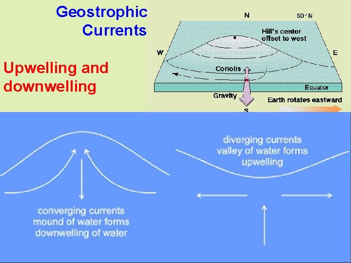 Geostrophic Currents Upwelling and downwelling 