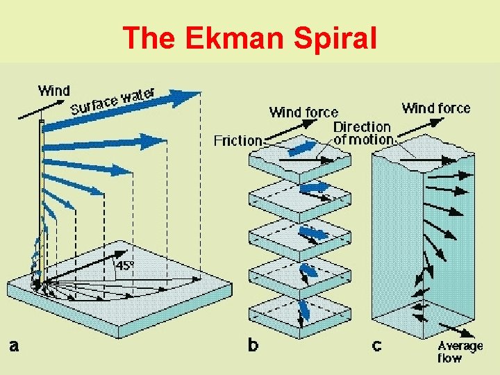 The Ekman Spiral 