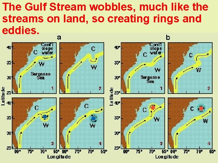 The Gulf Stream wobbles, much like the streams on land, so creating rings and