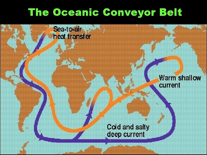 The Oceanic Conveyor Belt 