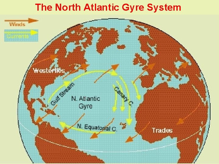 The North Atlantic Gyre System 