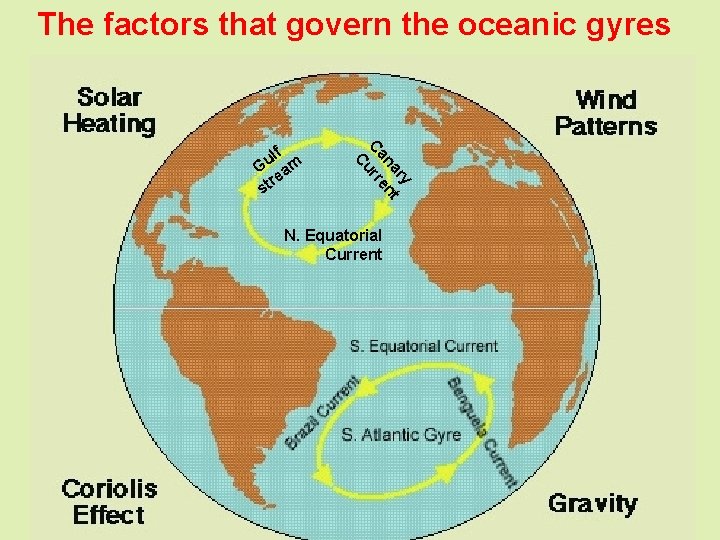 The factors that govern the oceanic gyres ry na ent Ca rr Cu lf