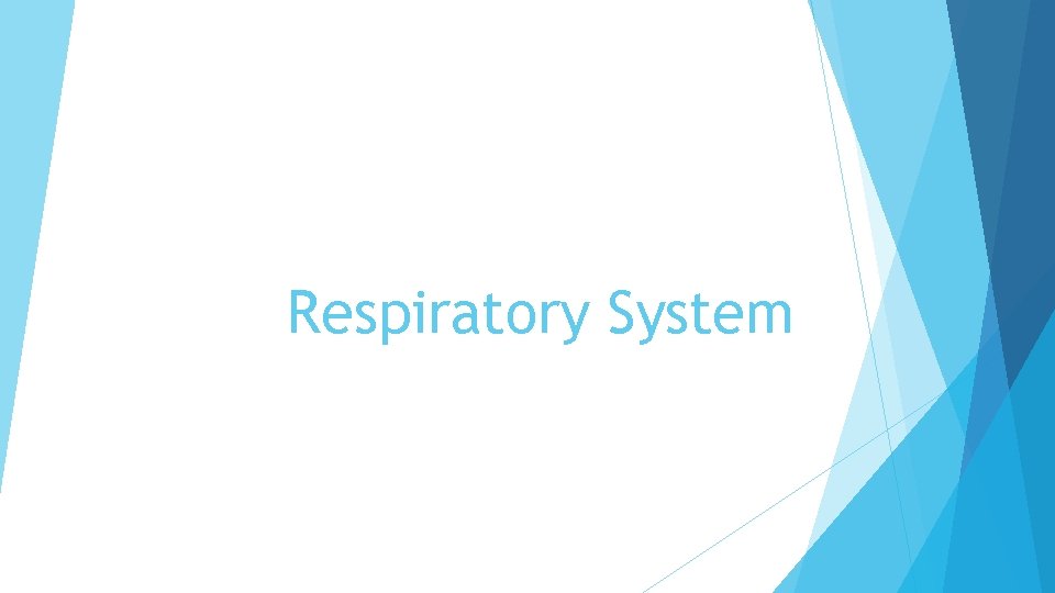 Respiratory System Respiratory System