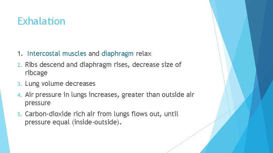 Exhalation 1. Intercostal muscles and diaphragm relax 2. Ribs descend and diaphragm rises, decrease Exhalation 1. Intercostal muscles and diaphragm relax 2. Ribs descend and diaphragm rises, decrease