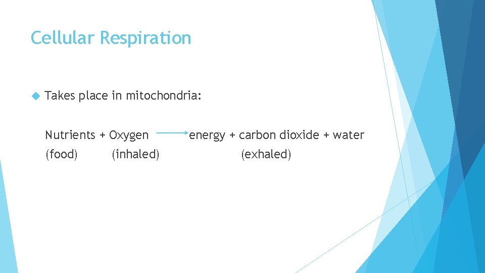 Cellular Respiration Takes place in mitochondria: Nutrients + Oxygen (food) (inhaled) energy + carbon Cellular Respiration Takes place in mitochondria: Nutrients + Oxygen (food) (inhaled) energy + carbon