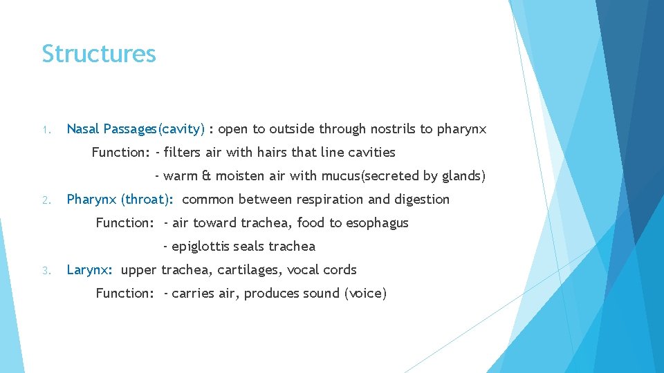Structures 1. Nasal Passages(cavity) : open to outside through nostrils to pharynx Function: - Structures 1. Nasal Passages(cavity) : open to outside through nostrils to pharynx Function: -