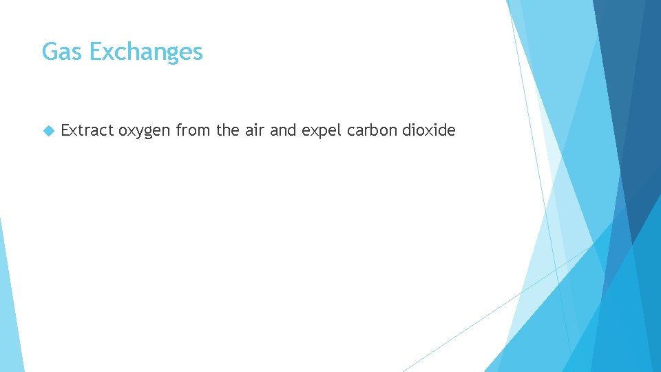 Gas Exchanges Extract oxygen from the air and expel carbon dioxide Gas Exchanges Extract oxygen from the air and expel carbon dioxide