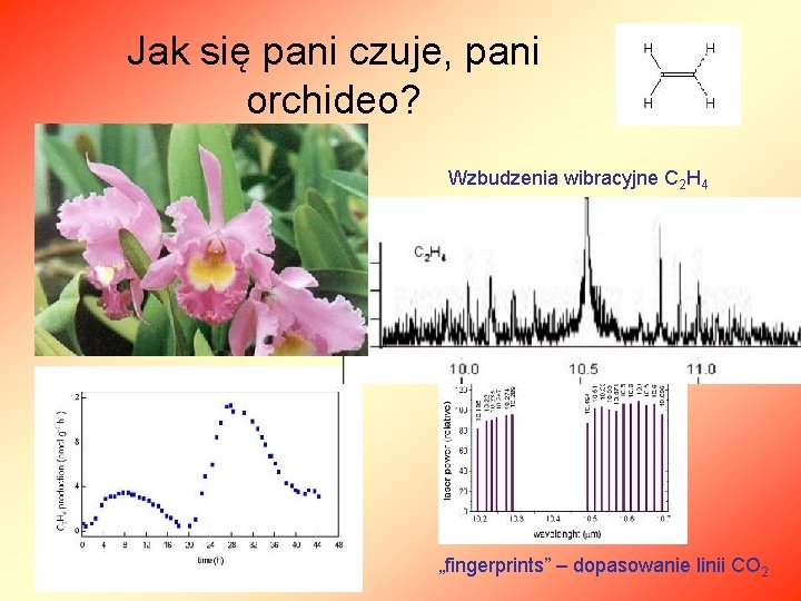 Jak się pani czuje, pani orchideo? Wzbudzenia wibracyjne C 2 H 4 „fingerprints” –