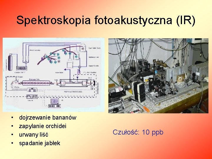 Spektroskopia fotoakustyczna (IR) • • dojrzewanie bananów zapylanie orchidei urwany liść spadanie jabłek Czułość: